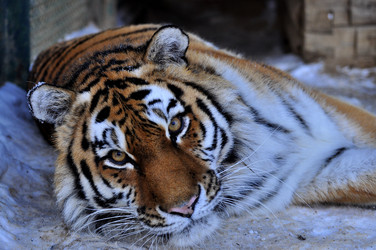 Similar image 21780993