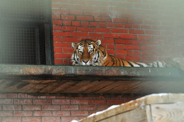 Similar image 21780996