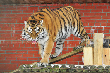 Similar image 21780998