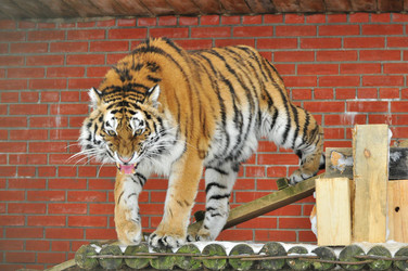 Similar image 21781000