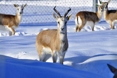 Similar image 21781001