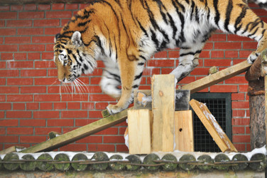 Similar image 21781002