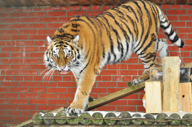 Similar image 21781004