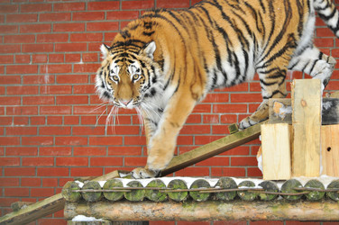 Similar image 21781005