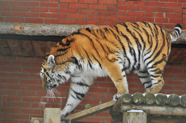 Similar image 21781008