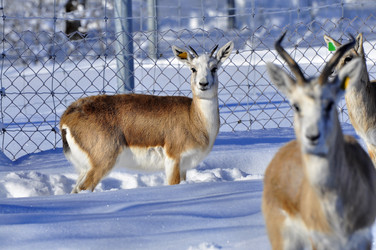 Similar image 21781010