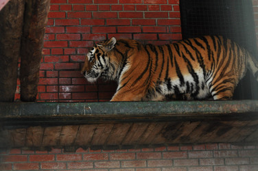 Similar image 21781011