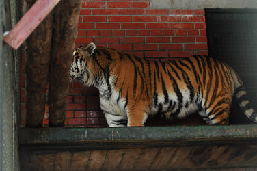 Similar image 21781012