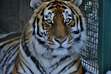 Similar image 21781013