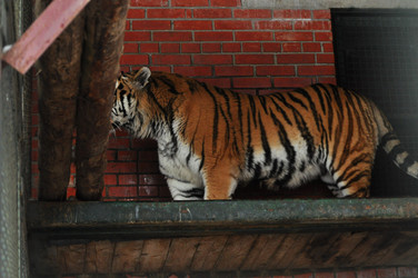 Similar image 21781014