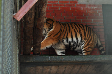 Similar image 21781015