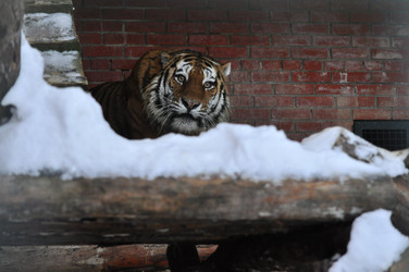 Similar image 21781016