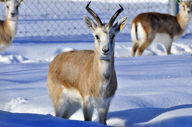 Similar image 21781017