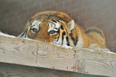 Similar image 21781018