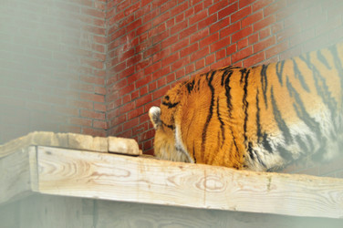 Similar image 21781019