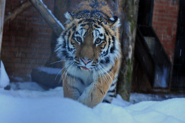 Similar image 21781020