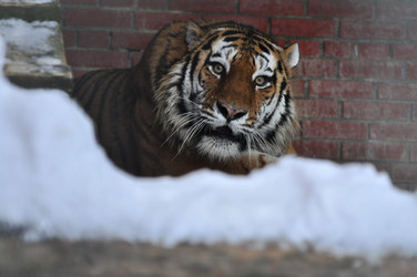 Similar image 21781021