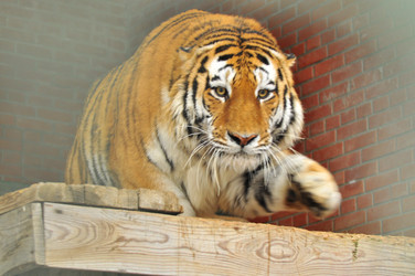 Similar image 21781023