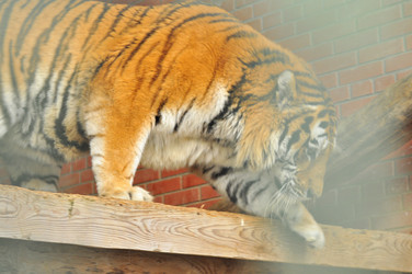 Similar image 21781024