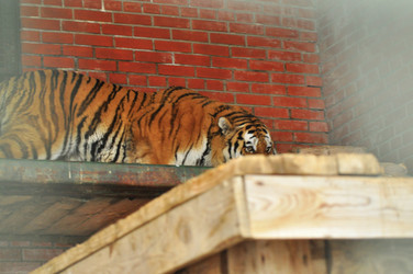 Similar image 21781027