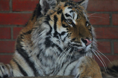 Similar image 21781028