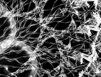 Similar image 21786204