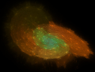 Similar image 21786211