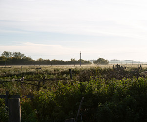 Similar image 21781207