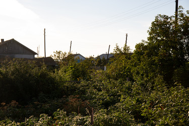 Similar image 21781209