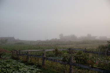 Similar image 21781218