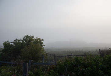 Similar image 21781220