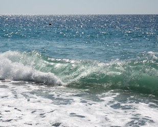 Similar image 21781227