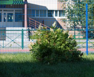 Similar image 21782936