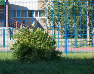 Similar image 21782938