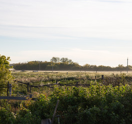 Similar image 21782940