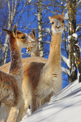 Similar image 21781029