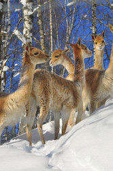 Similar image 21781030