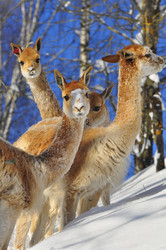 Similar image 21781031