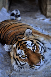 Similar image 21781036