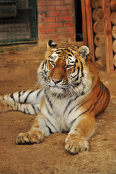 Similar image 21781042