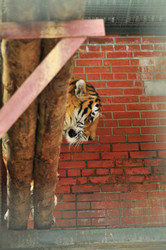 Similar image 21781047