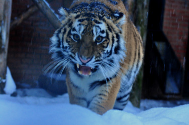 Similar image 21781049