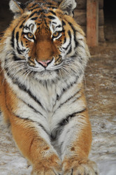 Similar image 21781050