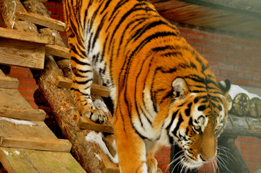 Similar image 21781051