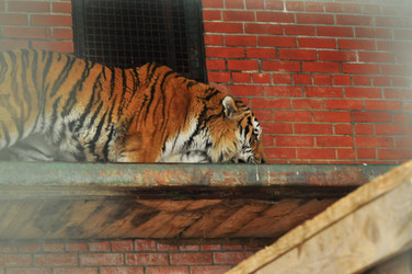 Similar image 21781055