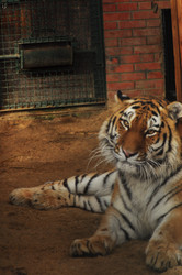 Similar image 21781056