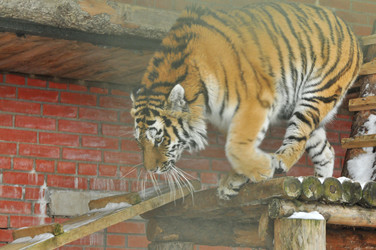 Similar image 21781059