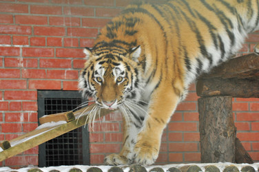 Similar image 21781060