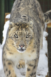 Similar image 21781061