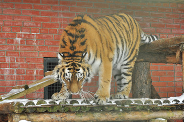 Similar image 21781064